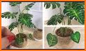 Plant DIY 3D related image