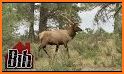 Elk Hunting Range Finder related image