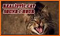 Cat Sounds - Meow Noises related image