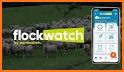 My Sheep Manager - Farming app related image