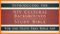 NIV Bible by Olive Tree related image