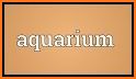 Word Aquarium related image
