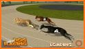 Dog Crazy Race Simulator related image