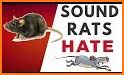 rat killer sounds related image