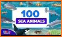 Sea Animals Letter related image