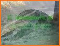 BCTPL related image
