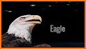 Eagle Spirit related image