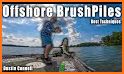 BrushPile Fishing related image