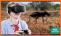 BBC Earth: Life in VR related image