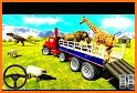 US Wild Animal Transport Game: Zoo Animal Sim related image