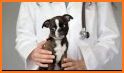 Moore Veterinary Care related image