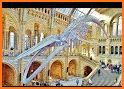 Natural History Museum related image