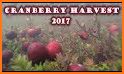 Wisconsin Cranberry Growers related image