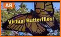 AR Butterflies and Flowers related image