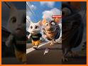 Mouse Chasing related image