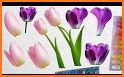 Tulip Flower Coloring Pages - Color By Number related image