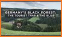 Black Forest related image