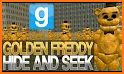 Golden 5 - Hide and Seek related image