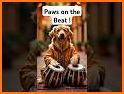 Paws On Beat related image