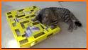 Easy cat puzzle related image