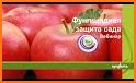 Orchard: Три в ряд related image