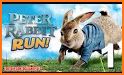 Peter Rabbit Endless Runner related image