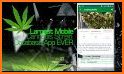 CL Medicinal Cannabis Cookbook Pro related image
