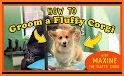 MaxiMojis - Corgi Dog Stickers by fluffy Maxine related image