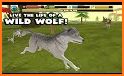 Wildlife Simulator: Wolf related image