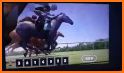 Bet on Horse: Racing Simulator related image