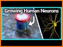 Super Neuron : Free Brain Training related image