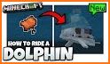 Dolphin Addon For MCPE related image