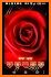 Red Rose Love Launcher Theme related image