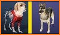 Idle Pet Shop: Animal Tycoon related image
