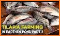 Guide For fish - feed & grow programs related image