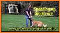 Dog Obedience related image