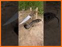 Snake Hunt related image