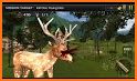 Deer Hunting Simulator Sniper Animal Shooting Game related image