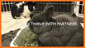My Rabbits: A Reliable Pet Health Care Advice related image