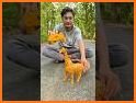 Elastic Giraffe related image