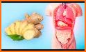 Ginger Health related image