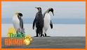 Preschool educational games for kids with Pengui related image