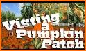 the visit of pumpkin related image
