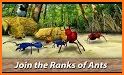 Ant Simulation 3D - Insect Survival Game related image