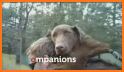Petco: Better Together related image