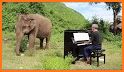 Cute Elephant Keyboard related image