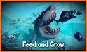 Fish‍ Feed and Gr‍ow★Tips related image
