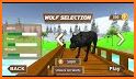 Wolf Simulator 3D - Arctic Animal Wildlife Games related image