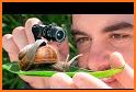 Snail Camera related image