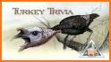 Trivia Talk related image